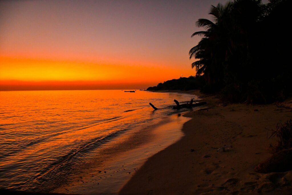 L’île locale de Thoddoo aux Maldives