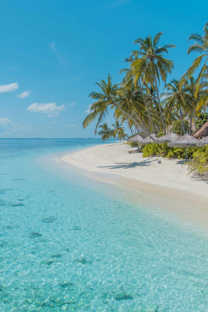 Plages paradisiaques et eaux turquoise des Maldives