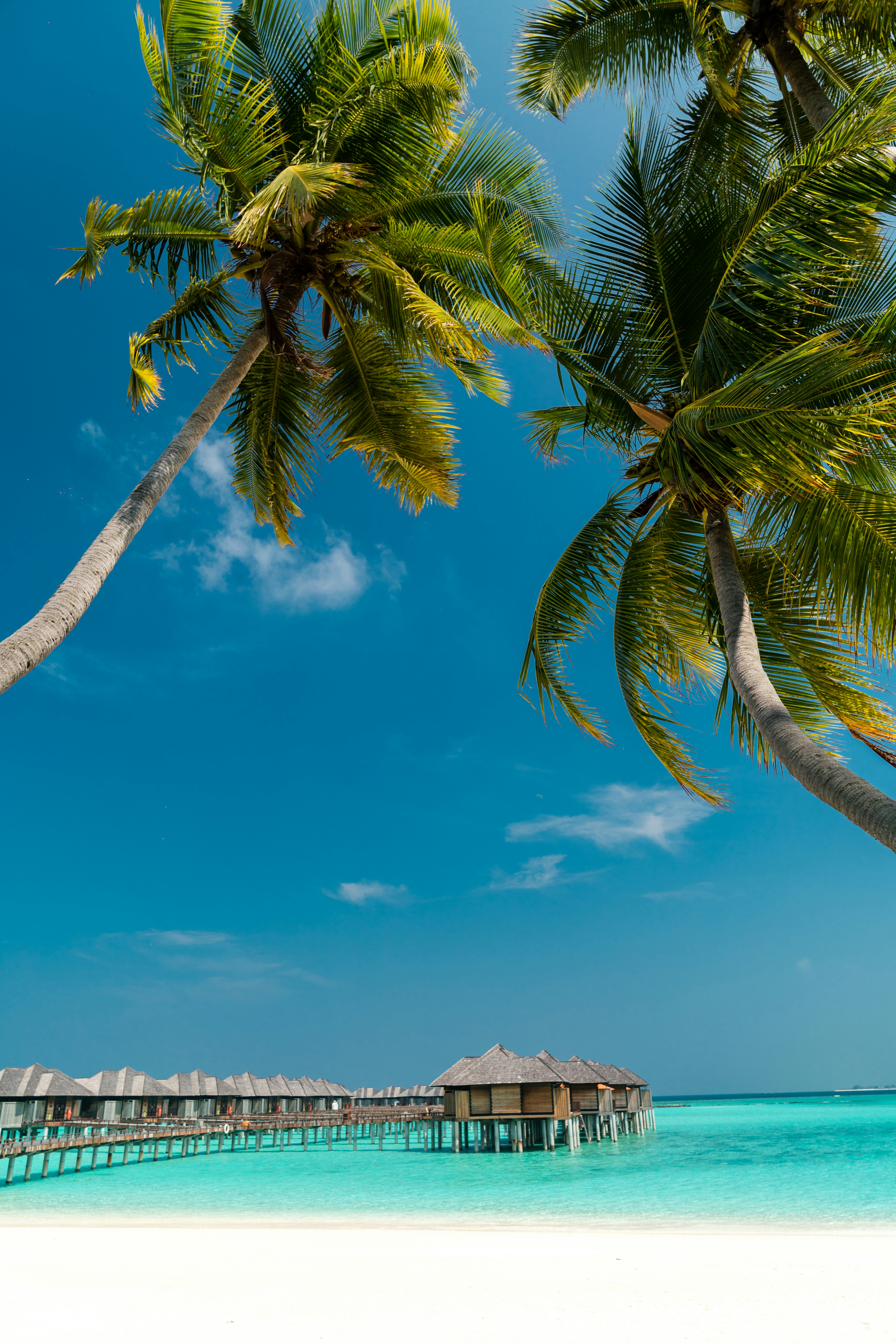 Plage de sable blanc et lagon turquoise aux Maldives, un décor paradisiaque aux eaux cristallines.