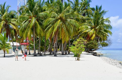 Île locale de Dharavandhoo