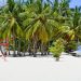Île locale de Dharavandhoo