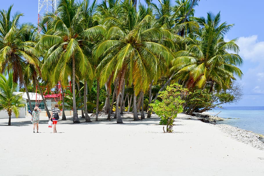 Île locale de Dharavandhoo