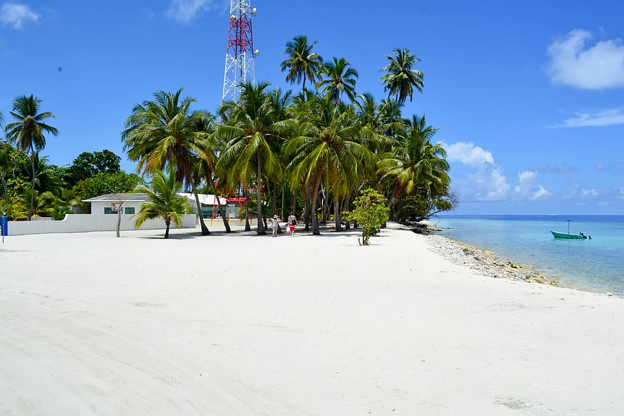 Île locale de Dharavandhoo