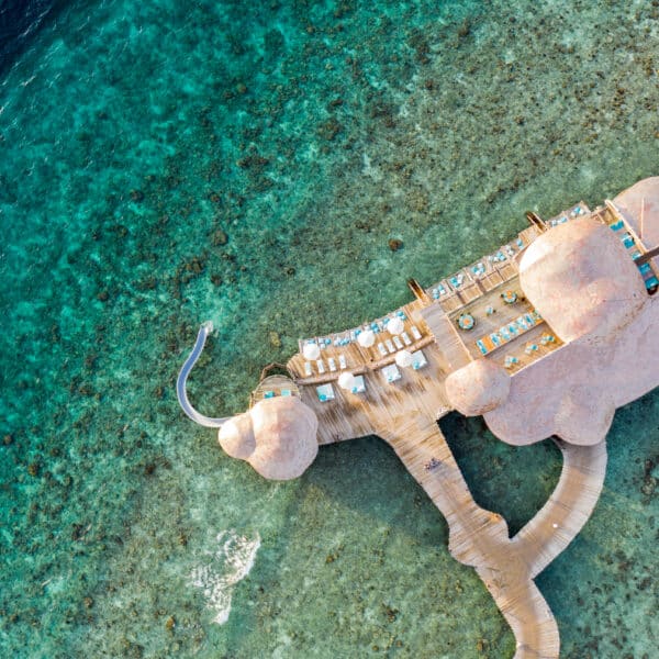 requins-baleines aux Maldives