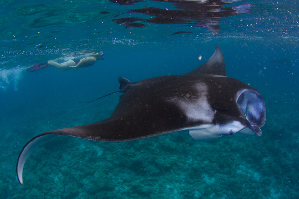 Préparer son voyage aux Maldives