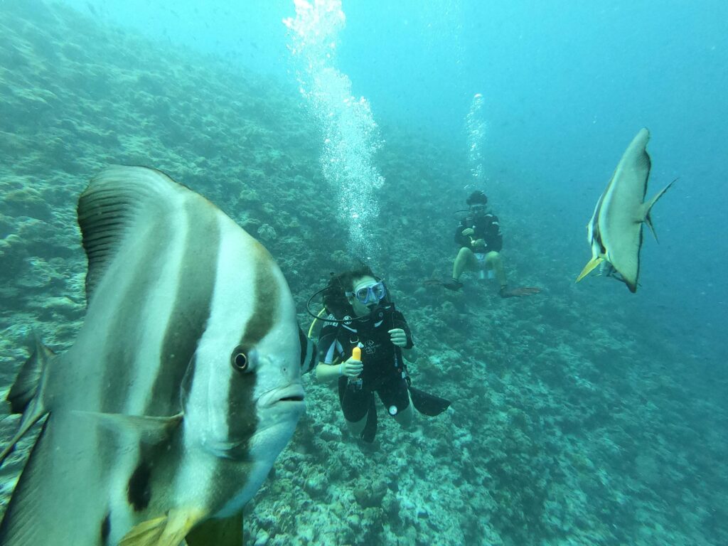 Maldives_Plongee_2