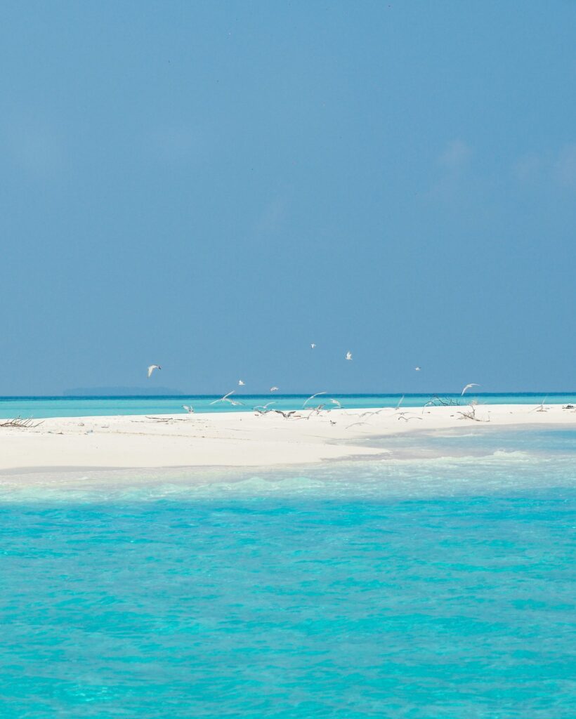 Séjourner au Villa Park Maldives