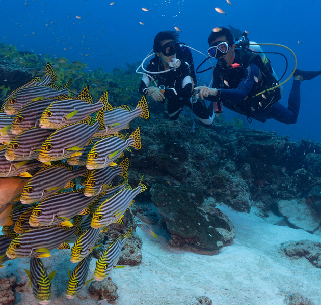 Snorkeling aux Maldives