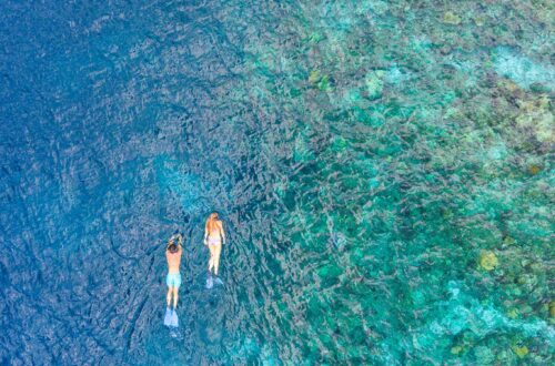 Top 5 des resorts où faire du snorkeling dans l’atoll de Malé Nord