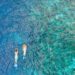 Top 5 des resorts où faire du snorkeling dans l’atoll de Malé Nord