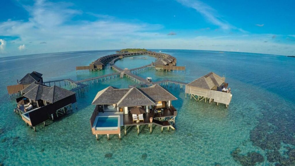 Top 5 des resorts de l’Atoll d’Ari Sud aux Maldives