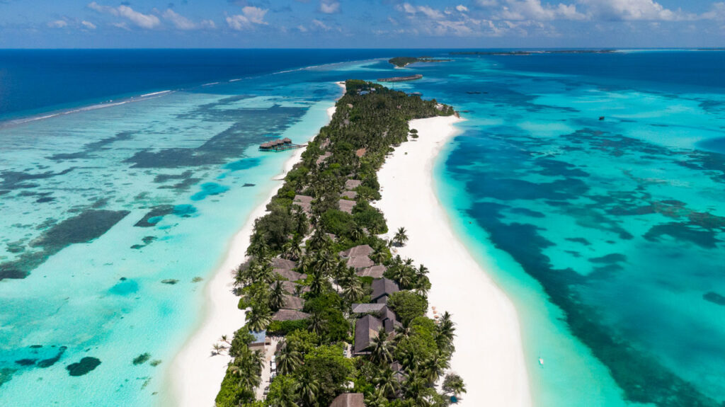 Top 5 des resorts de l’Atoll d’Ari Sud aux Maldives