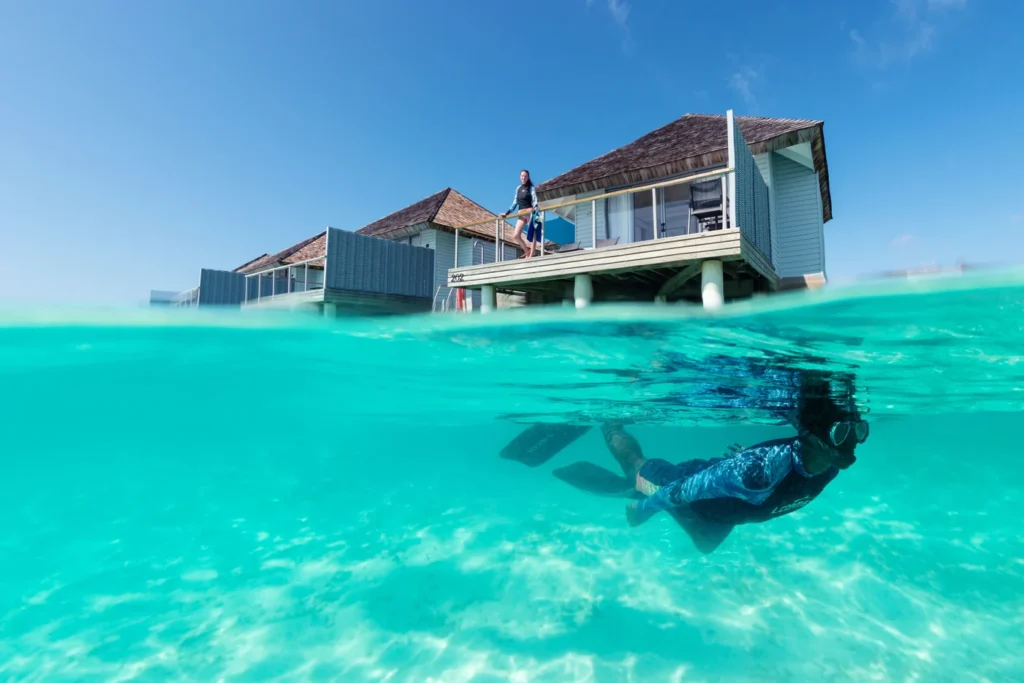 Top 5 des resorts de l’Atoll d’Ari Sud aux Maldives