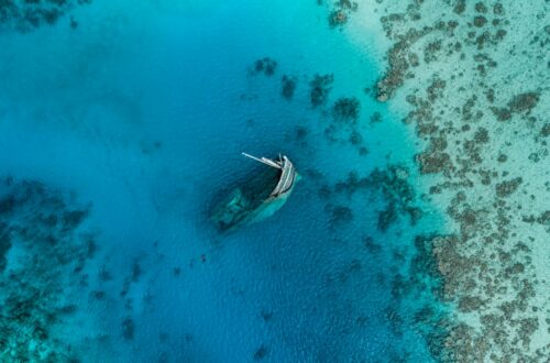 partir aux Maldives en juillet ou en août