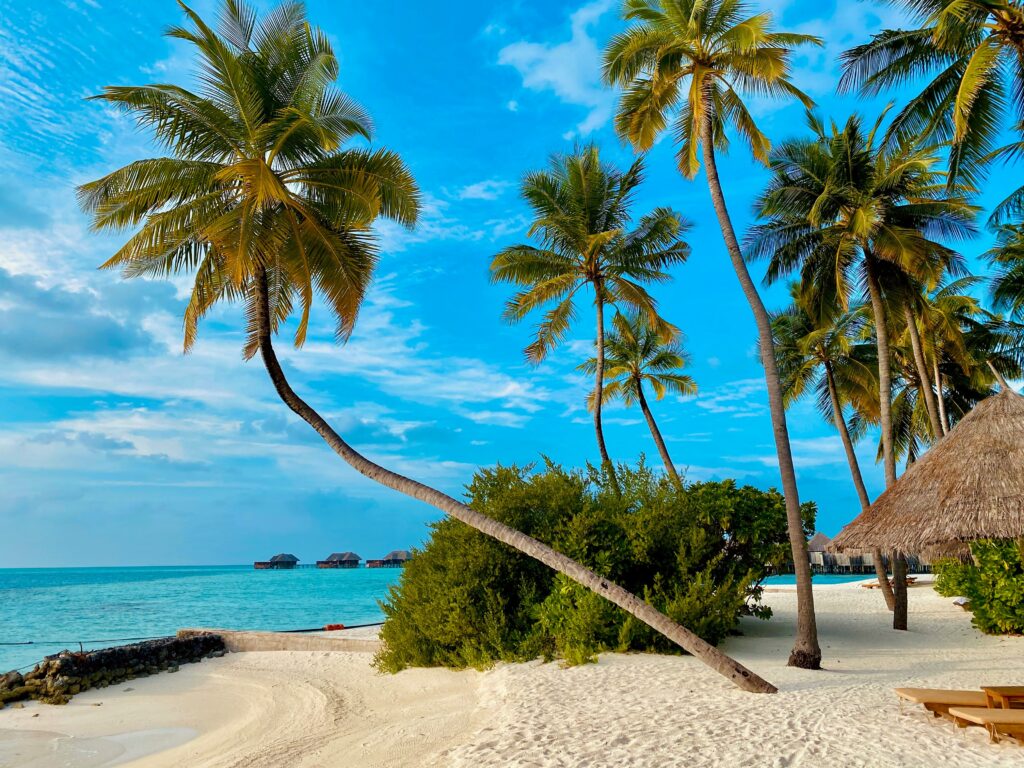 Partir aux Maldives en juillet et août 