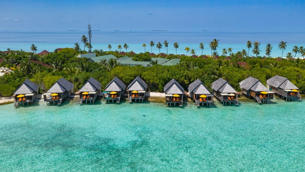 Séjourner au Dhigufaru Island Resort