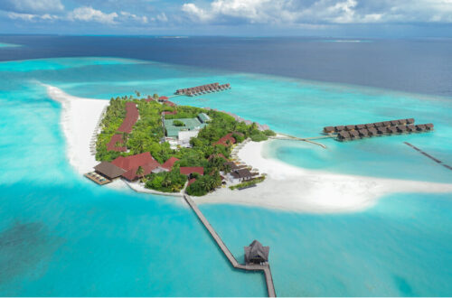Séjourner au Dhigufaru Island Resort