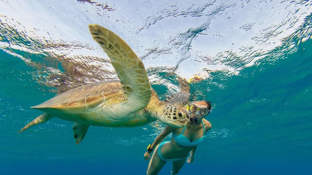 Snorkelling au Kuredu Island Resort